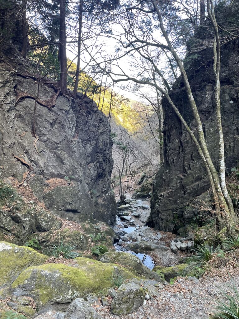 棒ノ折山　サウナ