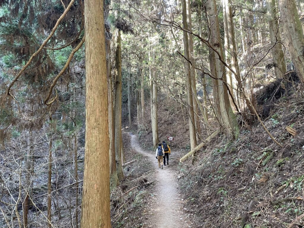 高尾山　サウナ
